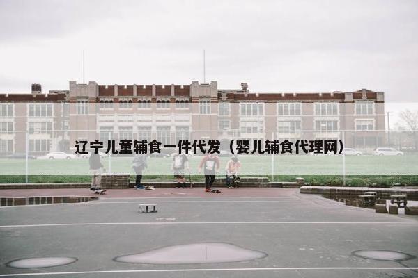 辽宁儿童辅食一件代发（婴儿辅食代理网）