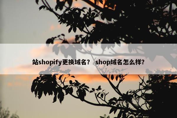 站shopify更换域名？ shop域名怎么样？