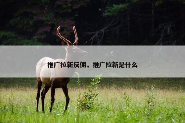 推广拉新反佣，推广拉新是什么