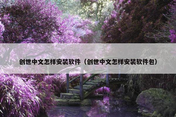 创世中文怎样安装软件（创世中文怎样安装软件包）