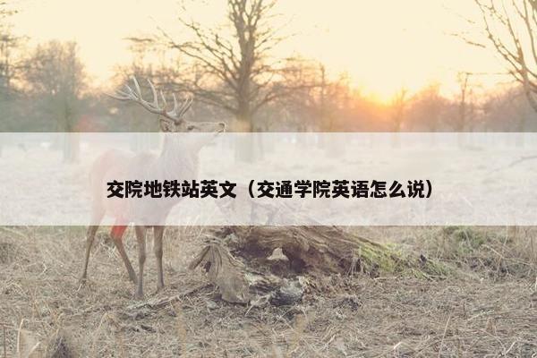 交院地铁站英文（交通学院英语怎么说）