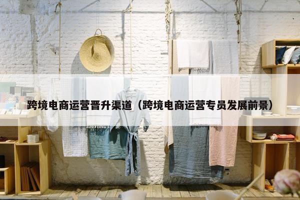 跨境电商运营晋升渠道（跨境电商运营专员发展前景）
