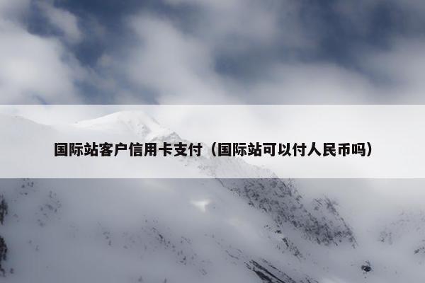 国际站客户信用卡支付（国际站可以付人民币吗）