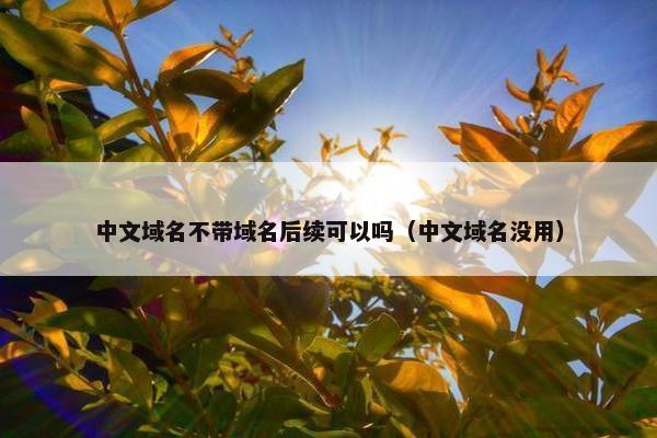 中文域名不带域名后续可以吗（中文域名没用）