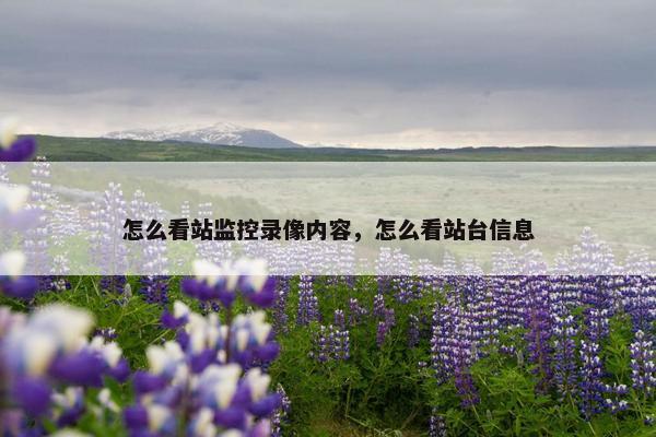 怎么看站监控录像内容，怎么看站台信息