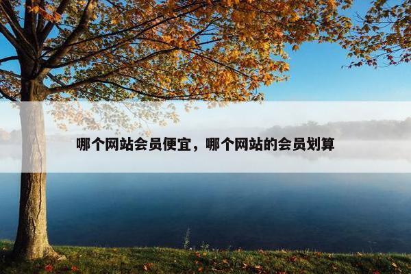 哪个网站会员便宜，哪个网站的会员划算