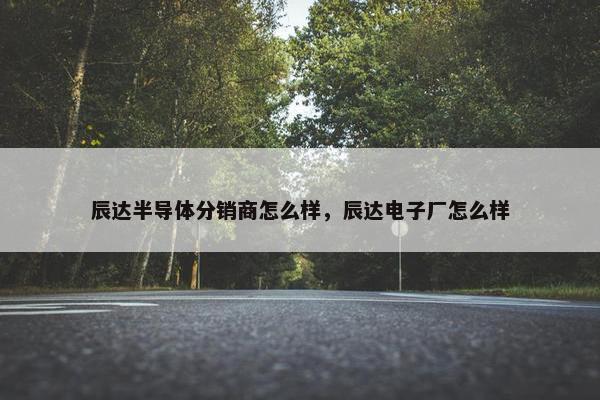 辰达半导体分销商怎么样，辰达电子厂怎么样