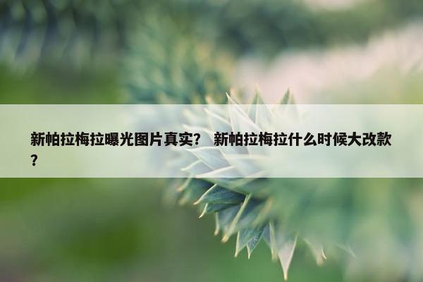 新帕拉梅拉曝光图片真实？ 新帕拉梅拉什么时候大改款？