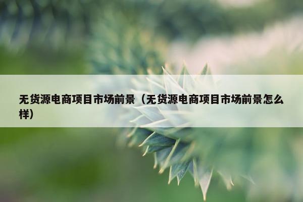无货源电商项目市场前景（无货源电商项目市场前景怎么样）