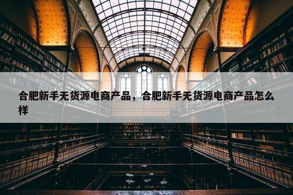 合肥新手无货源电商产品，合肥新手无货源电商产品怎么样