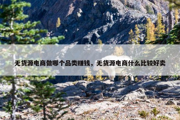 无货源电商做哪个品类赚钱，无货源电商什么比较好卖
