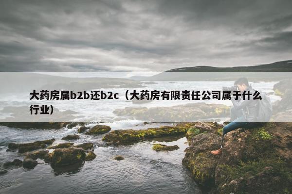 大药房属b2b还b2c（大药房有限责任公司属于什么行业）