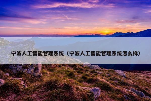 宁波人工智能管理系统（宁波人工智能管理系统怎么样）