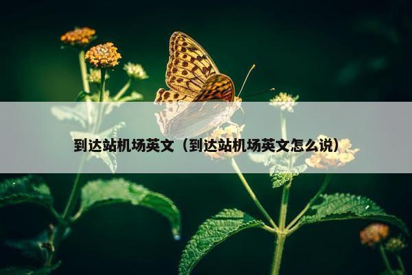 到达站机场英文（到达站机场英文怎么说）
