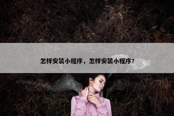 怎样安装小程序，怎样安装小程序?