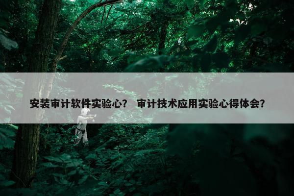 安装审计软件实验心？ 审计技术应用实验心得体会？