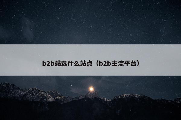 b2b站选什么站点（b2b主流平台）