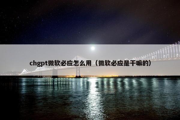 chgpt微软必应怎么用（微软必应是干嘛的）
