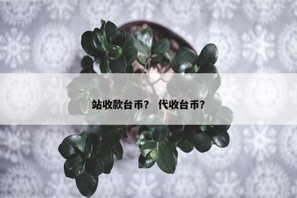 站收款台币？ 代收台币？