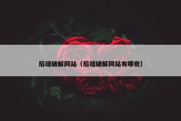 后端破解网站（后端破解网站有哪些）