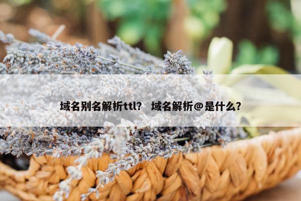 域名别名解析ttl？ 域名解析@是什么？