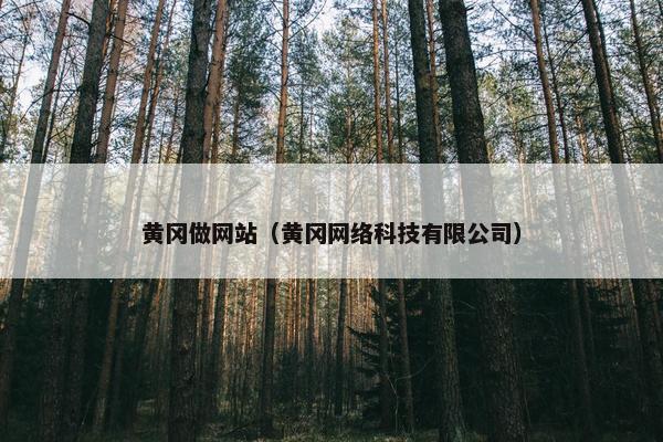 黄冈做网站（黄冈网络科技有限公司）