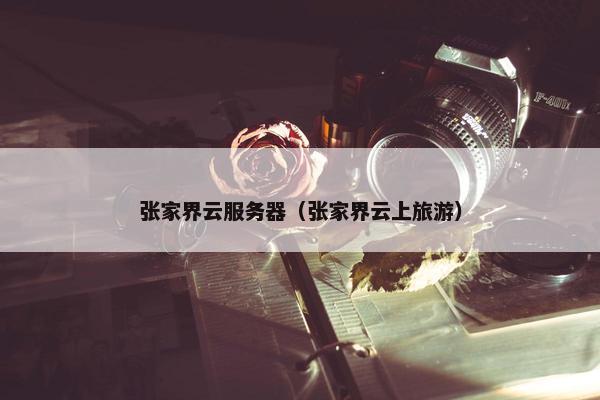 张家界云服务器（张家界云上旅游）
