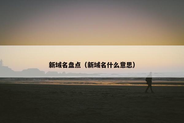 新域名盘点（新域名什么意思）