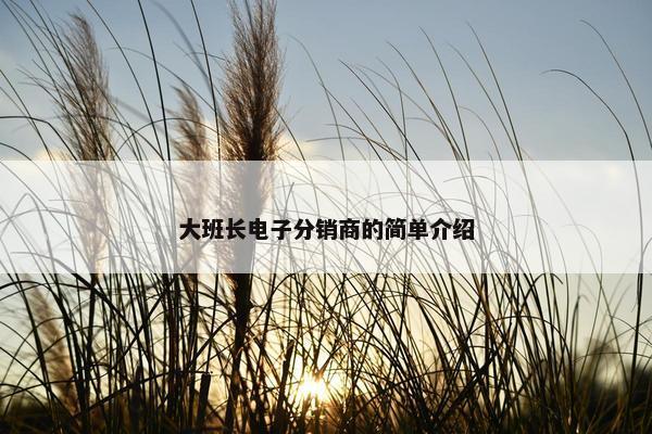 大班长电子分销商的简单介绍