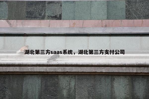 湖北第三方saas系统，湖北第三方支付公司