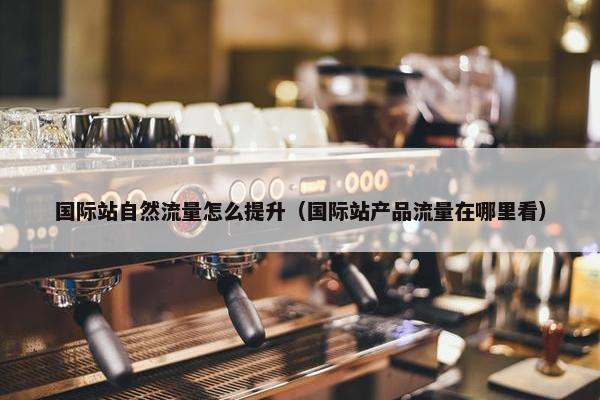 国际站自然流量怎么提升（国际站产品流量在哪里看）