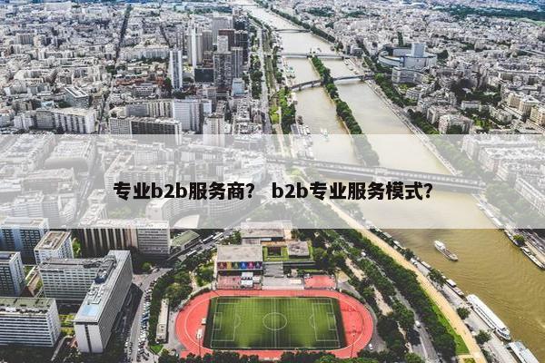 专业b2b服务商？ b2b专业服务模式？