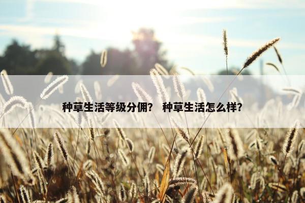 种草生活等级分佣？ 种草生活怎么样？