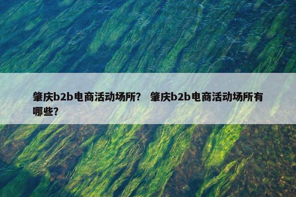 肇庆b2b电商活动场所？ 肇庆b2b电商活动场所有哪些？