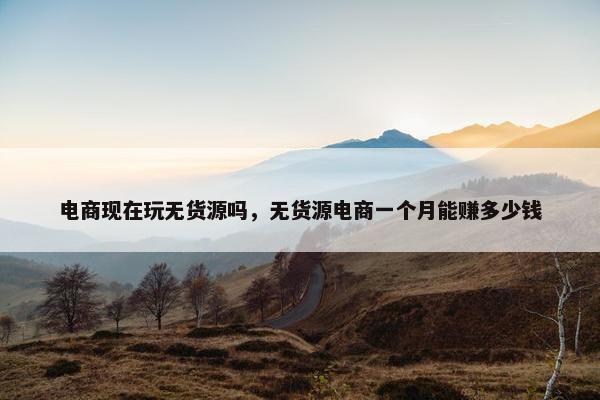 电商现在玩无货源吗，无货源电商一个月能赚多少钱