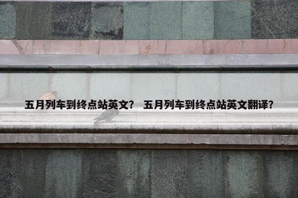 五月列车到终点站英文？ 五月列车到终点站英文翻译？