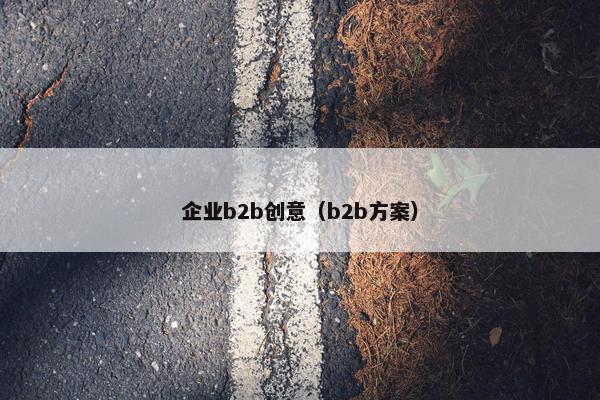 企业b2b创意（b2b方案）