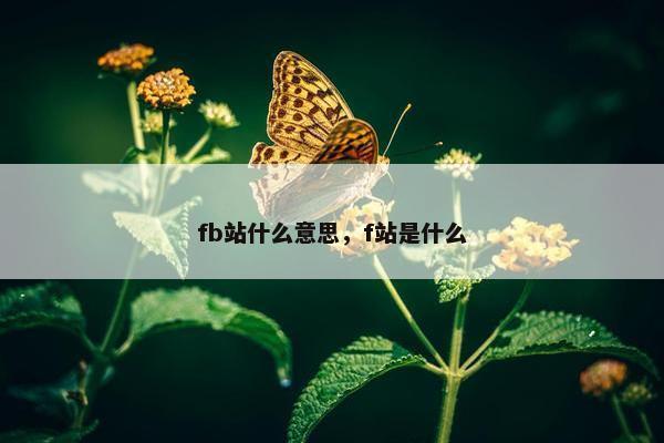 fb站什么意思，f站是什么