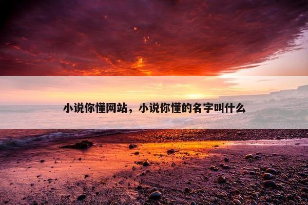 小说你懂网站，小说你懂的名字叫什么