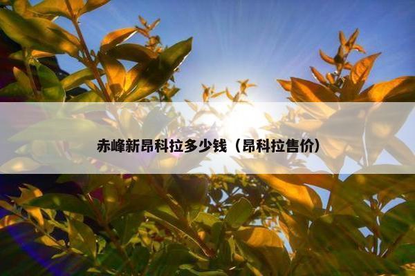 赤峰新昂科拉多少钱（昂科拉售价）