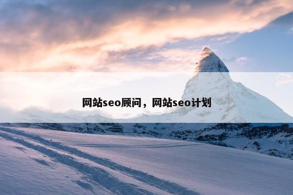 网站seo顾问，网站seo计划
