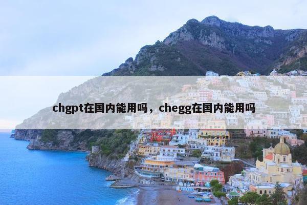 chgpt在国内能用吗，chegg在国内能用吗