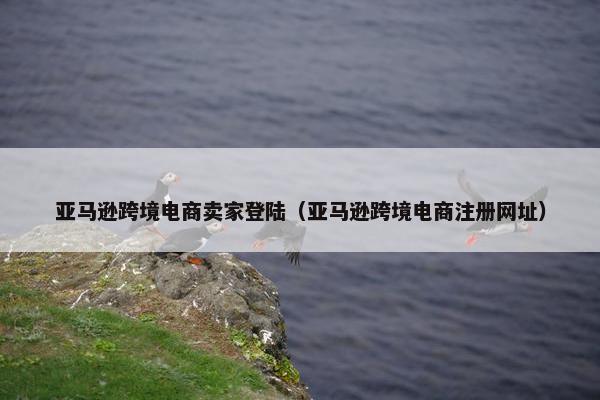 亚马逊跨境电商卖家登陆（亚马逊跨境电商注册网址）