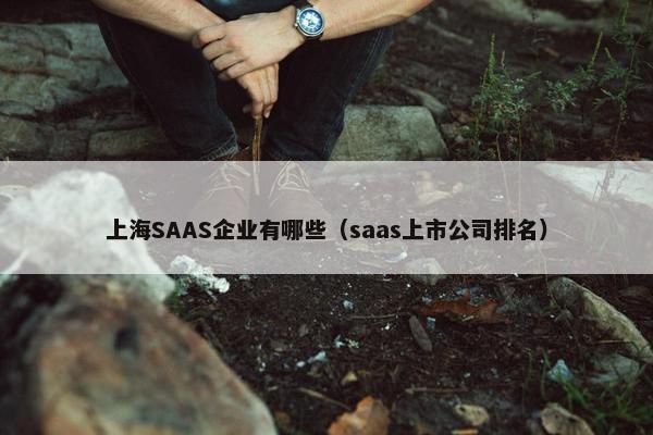 上海SAAS企业有哪些（saas上市公司排名）