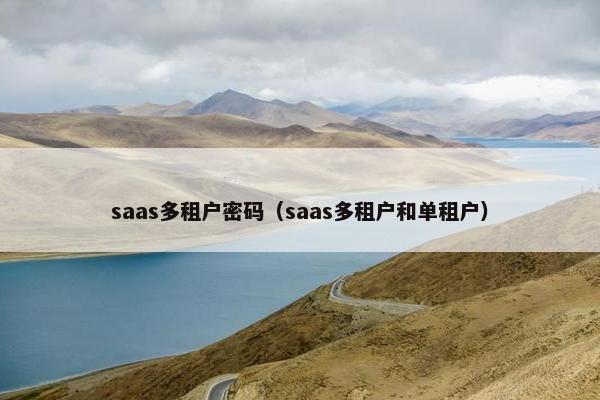 saas多租户密码（saas多租户和单租户）