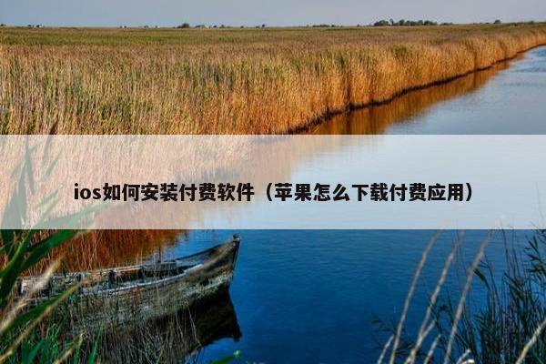 ios如何安装付费软件（苹果怎么下载付费应用）