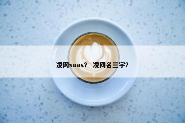 凌网saas？ 凌网名三字？