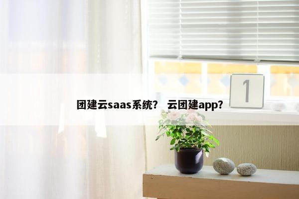 团建云saas系统？ 云团建app？