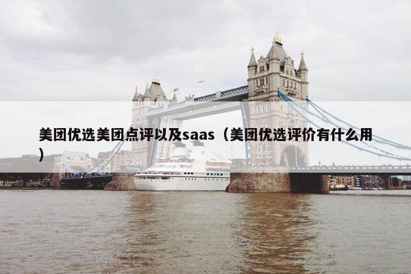 美团优选美团点评以及saas（美团优选评价有什么用）