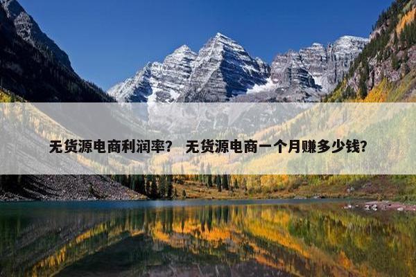 无货源电商利润率？ 无货源电商一个月赚多少钱？